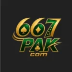 667Pak Game
